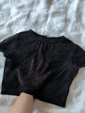 Charlotte Russe Black Sheer Cropped Tee